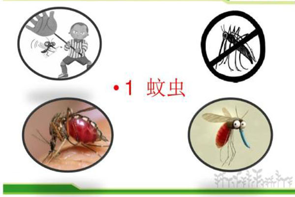 四害消殺公司